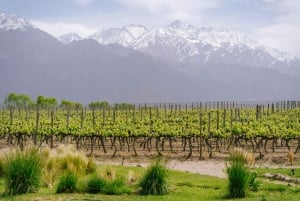 Retiro de 3 días en la Viña Encantada de Mendoza con billete de avión opcional