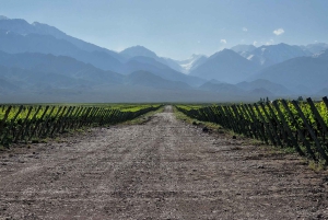 Retiro de 3 días en la Viña Encantada de Mendoza con billete de avión opcional
