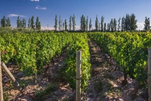 Retiro de 3 días en la Viña Encantada de Mendoza con billete de avión opcional