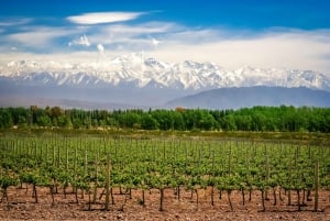 Retiro de 3 días en la Viña Encantada de Mendoza con billete de avión opcional