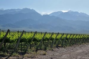 Retiro de 3 días en la Viña Encantada de Mendoza con billete de avión opcional