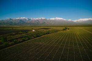 Retiro de 3 días en la Viña Encantada de Mendoza con billete de avión opcional