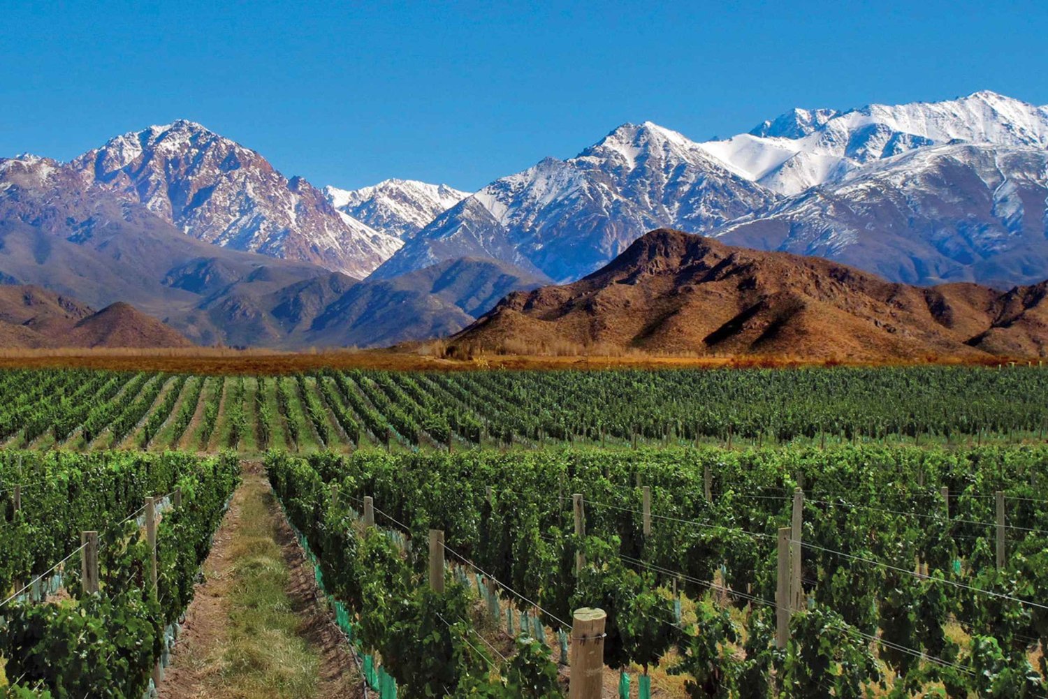 Excursion de 4 jours à Mendoza et dans les Andes