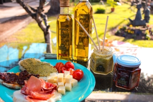 メンドーサ＆アンデス山脈 4日間ツアー