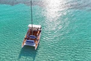 4 Hour Turtle Sanctuary Experience on a Luxury Catamarán