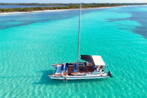 4 Hour Turtle Sanctuary Experience on a Luxury Catamarán