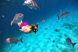 4 Hour Turtle Sanctuary Experience on a Luxury Catamarán