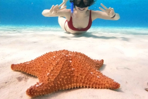 4 Hour Turtle Sanctuary Experience on a Luxury Catamarán