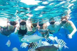 4 Hour Turtle Sanctuary Experience on a Luxury Catamarán