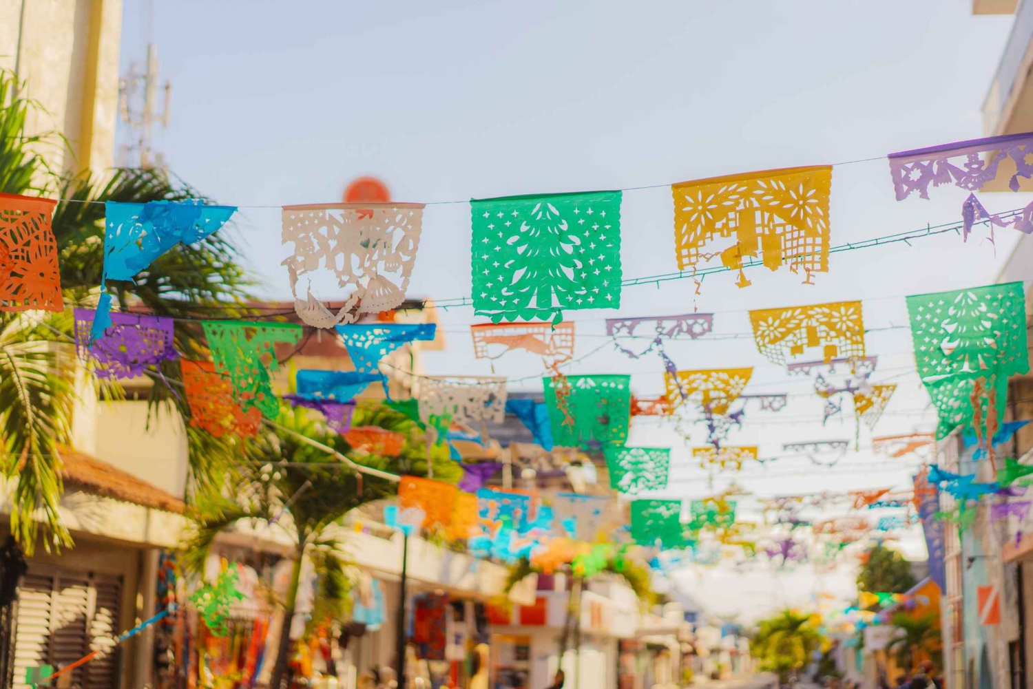 Un tour privado romántico por Playa del Carmen