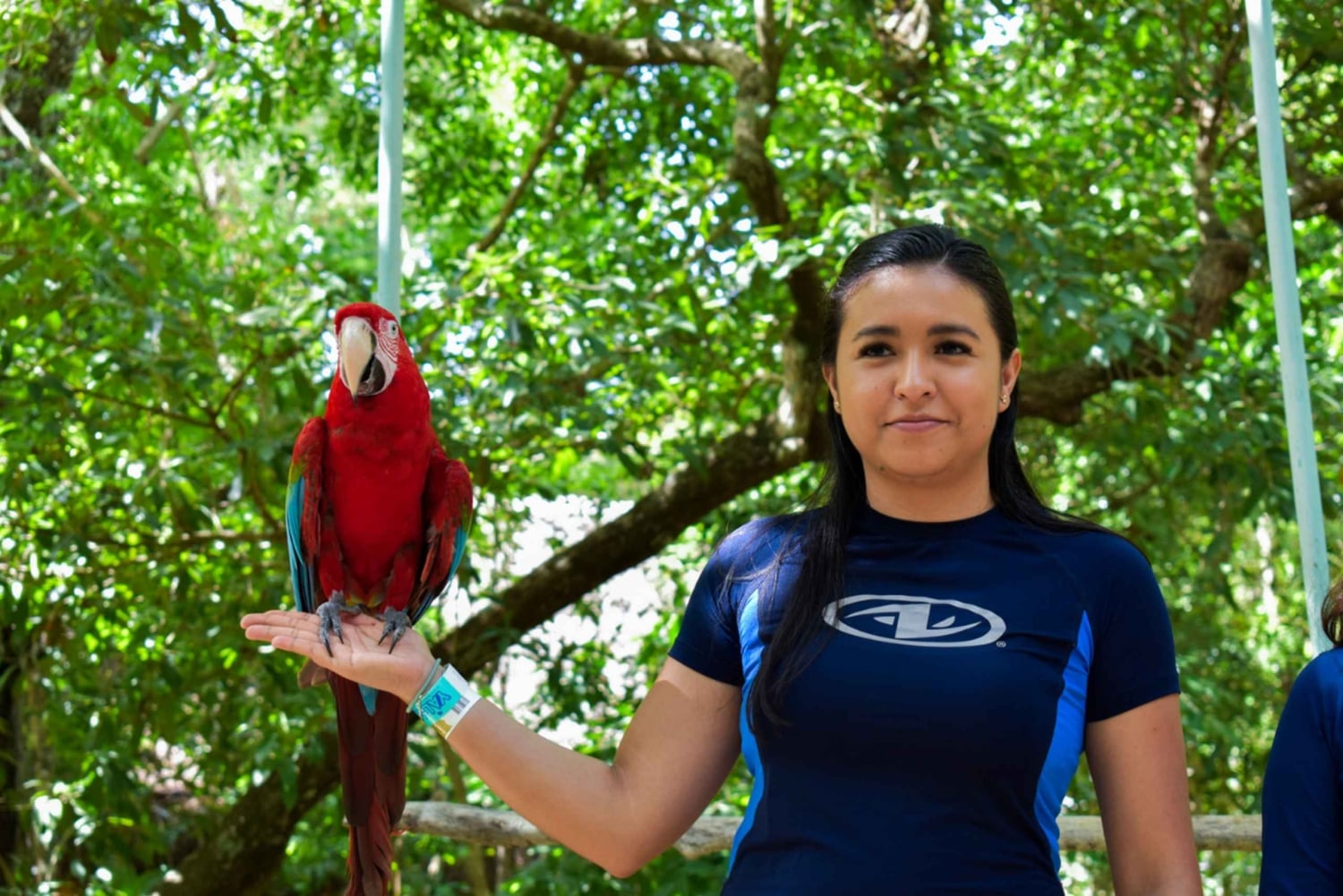 Akumal: Apenopvangcentrum, ATV, Cenote & Yalku snorkeltour