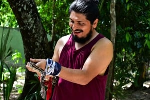 Akumal: Apenopvangcentrum, ATV, Cenote & Yalku snorkeltour