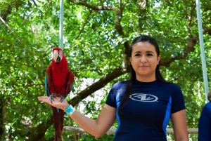 Akumal: Apenopvangcentrum, ATV, Cenote & Yalku snorkeltour