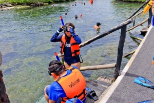 Akumal: Apenopvangcentrum, ATV, Cenote & Yalku snorkeltour