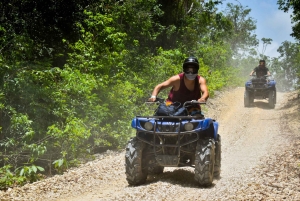 Akumal: Apenopvangcentrum, ATV, Cenote & Yalku snorkeltour