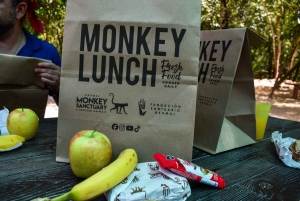 Akumal: Apenopvangcentrum, ATV, Cenote & Yalku snorkeltour