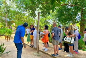 All-Inclusive: Chichen Itza & Cenote from Cancun