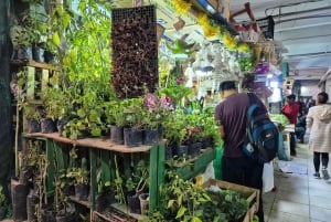 Arequipa: San Camilo Market Tour