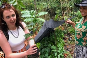 ミンカでアルワコ族の先住民体験：自然と知恵を学びましょう