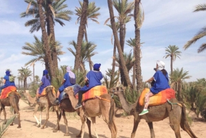 Around Marrakech: Camel Ride in Palm Groves including Tea