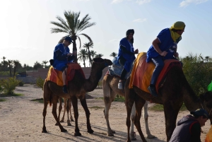 Around Marrakech: Camel Ride in Palm Groves including Tea