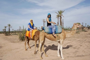 Around Marrakech: Camel Ride in Palm Groves including Tea