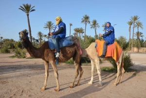 Around Marrakech: Camel Ride in Palm Groves including Tea