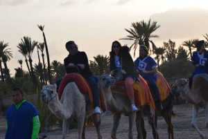 Around Marrakech: Camel Ride in Palm Groves including Tea