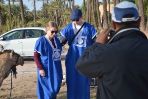 Around Marrakech: Camel Ride in Palm Groves including Tea