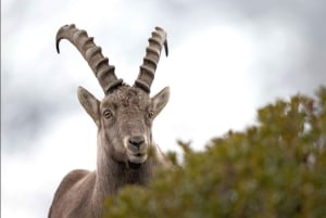 Randonnée Couleurs d'Automne - Journée - Sortie collective