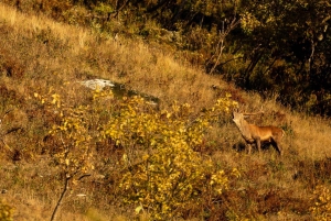 Randonnée Couleurs d'Automne - Journée - Sortie collective