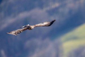 Randonnée Couleurs d'Automne - Journée - Sortie collective