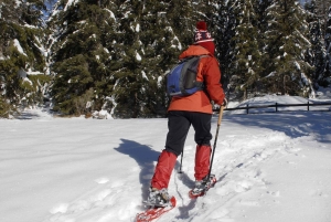 Banff/Canmore: Banff Snowshoe Adventure at Johnson Lake