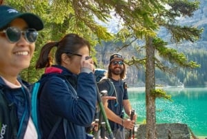 Banff/Canmore: Emerald Lake & Takakkaw Falls