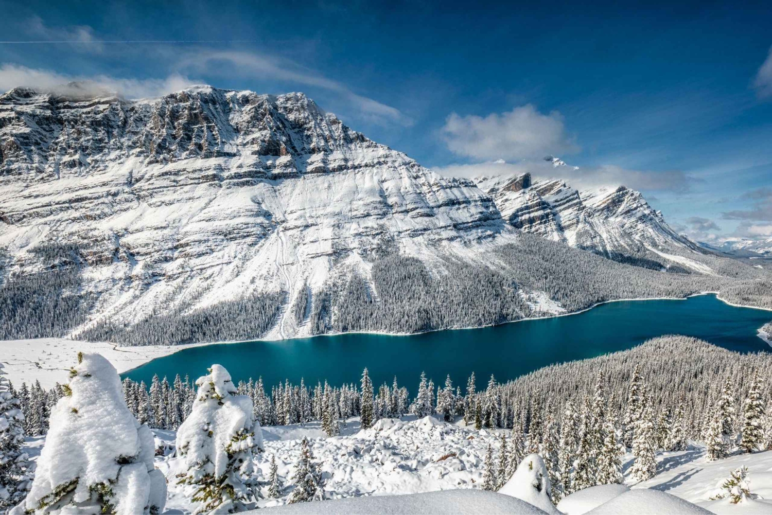 Banff/Canmore: Lake Louise e a Icefields Parkway