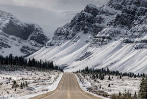 Banff/Canmore: Lake Louise e a Icefields Parkway