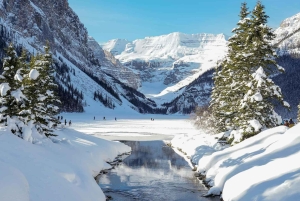 Banff/Canmore: Lake Louise e a Icefields Parkway