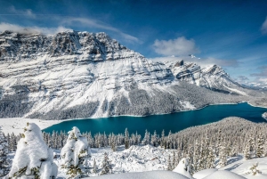 Banff/Canmore: Lake Louise e a Icefields Parkway