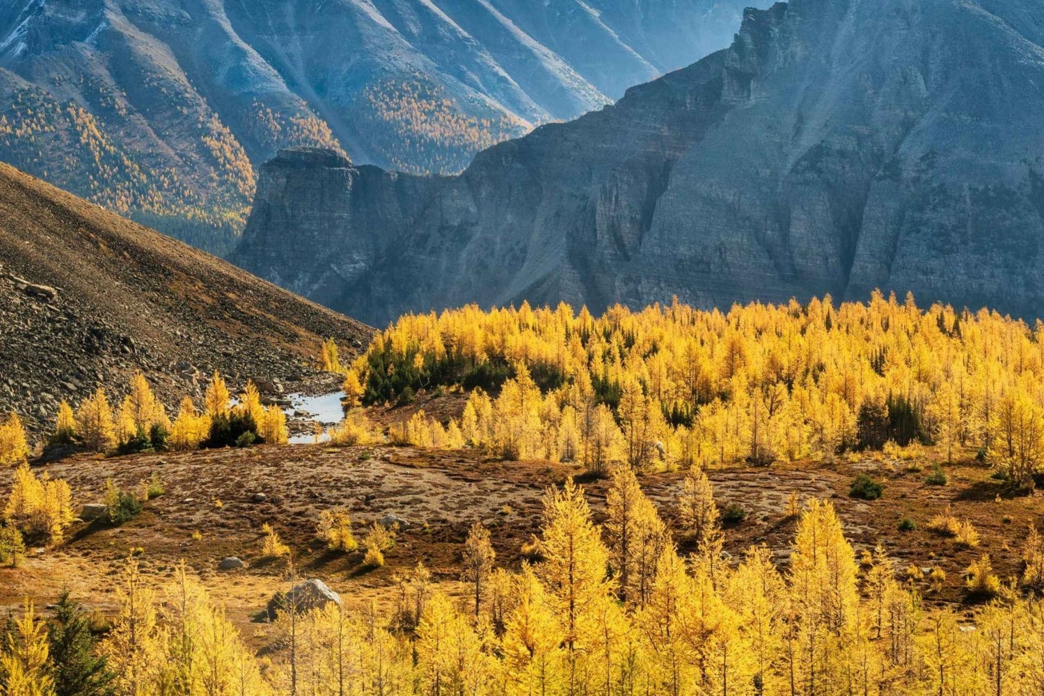 Banff/Canmore: Larch Valley e Moraine Lake