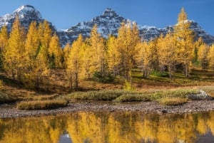 Banff/Canmore: Larch Valley e Moraine Lake