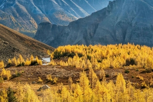 Banff/Canmore: Larch Valley e Moraine Lake