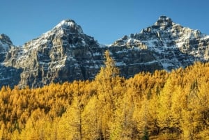 Banff/Canmore: Larch Valley e Moraine Lake