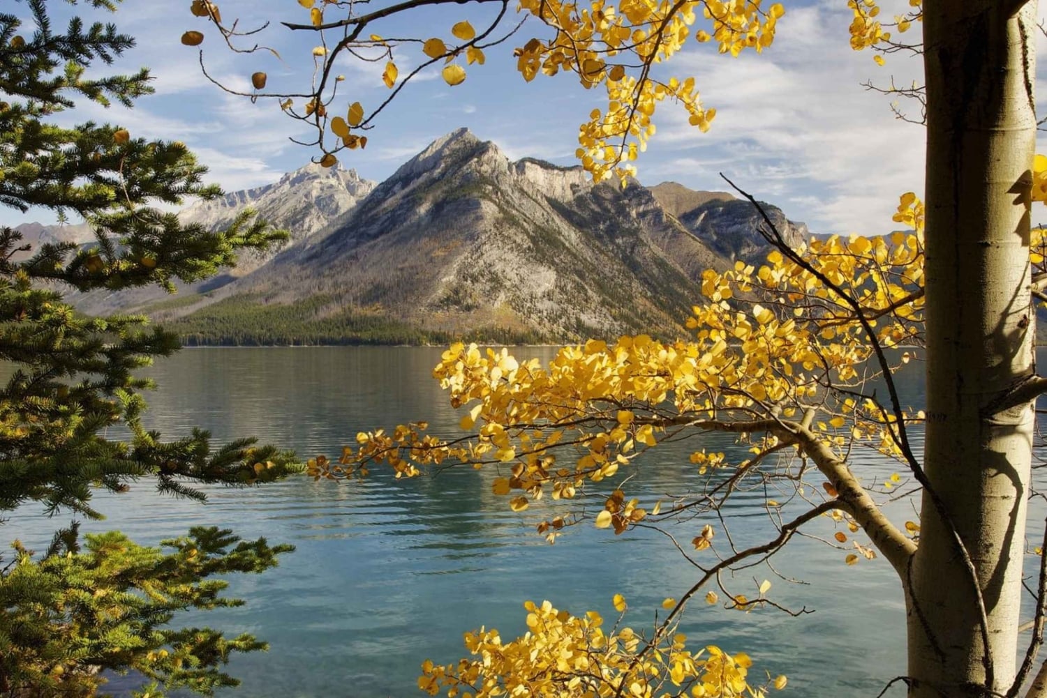 バンフ・ゴンドラ、ジョンストン・キャニオン、ミネワンカ湖、バンフ1日ツアーをご案内いたします