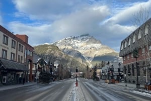 バンフ・ゴンドラ、ジョンストン・キャニオン、ミネワンカ湖、バンフ1日ツアーをご案内いたします