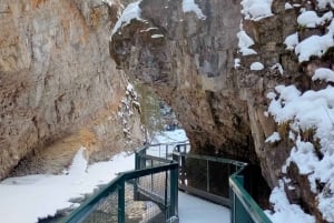 バンフ・ゴンドラ、ジョンストン・キャニオン、ミネワンカ湖、バンフ1日ツアーをご案内いたします