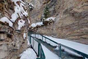 バンフ・ゴンドラ、ジョンストン・キャニオン、ミネワンカ湖、バンフ1日ツアーをご案内いたします