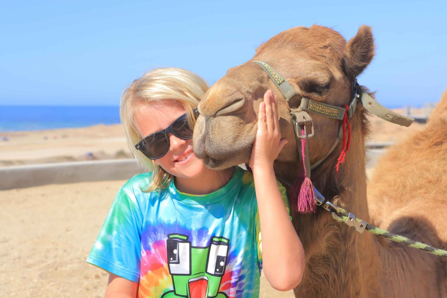 Beach Camel Ride & Encounter in Cabo by Cactus tours park