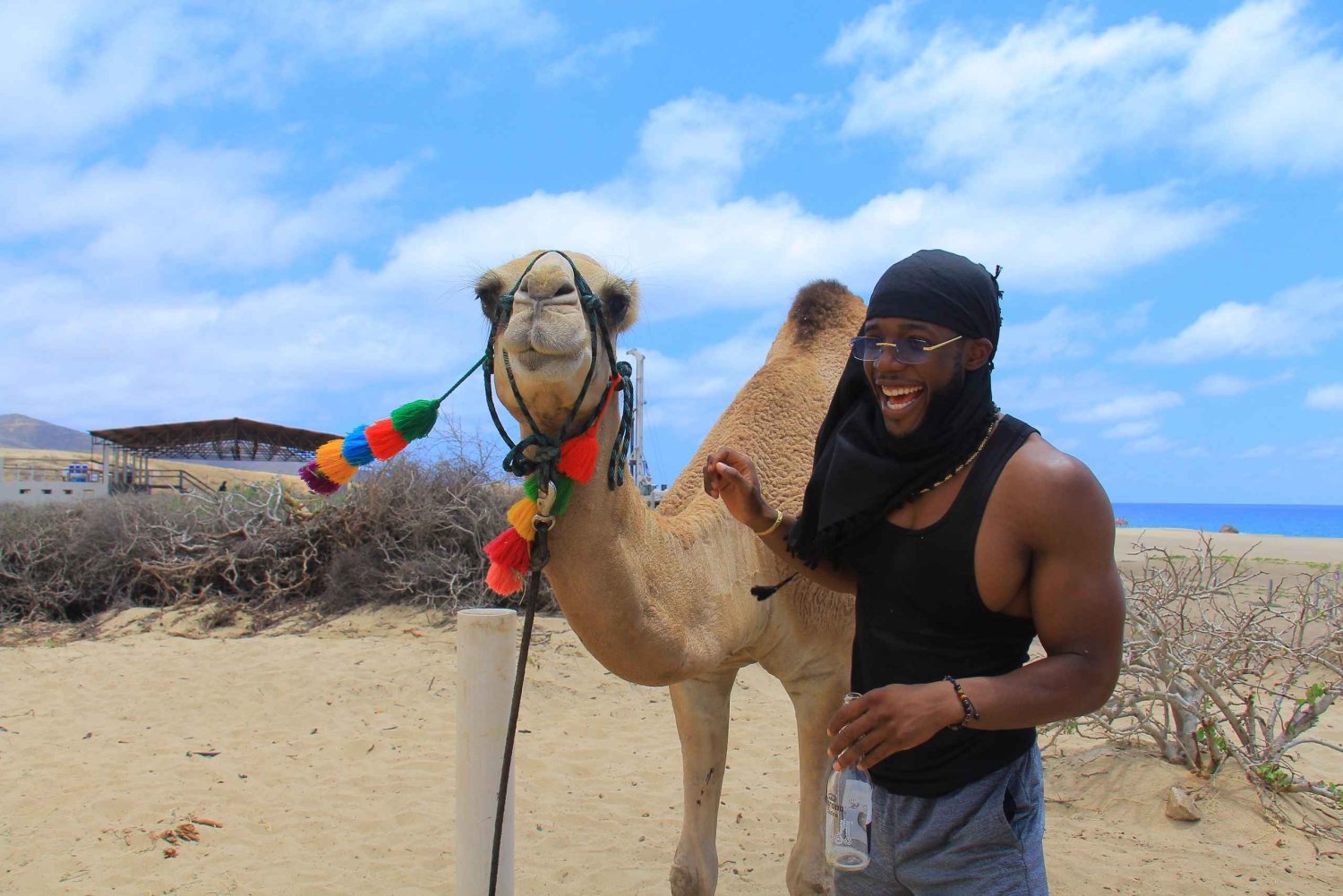 Beach Camel Ride & Encounter in Cabo by Cactus tours park