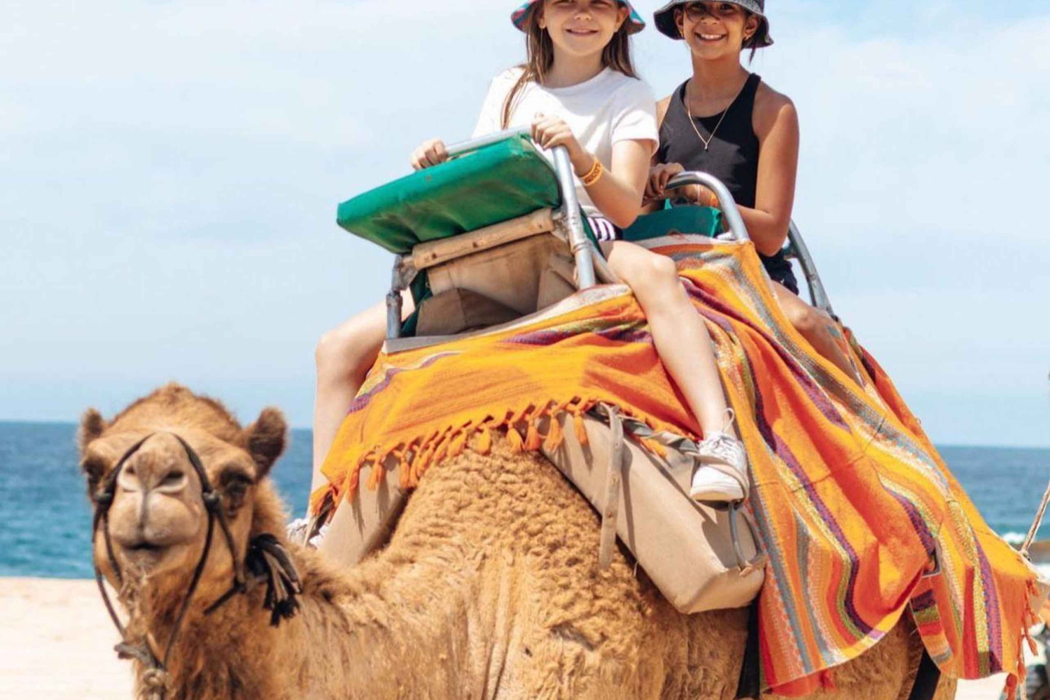 Beach Camel Ride & Encounter in Cabo by Cactus tours park