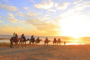 Beach Camel Ride & Encounter in Cabo by Cactus tours park